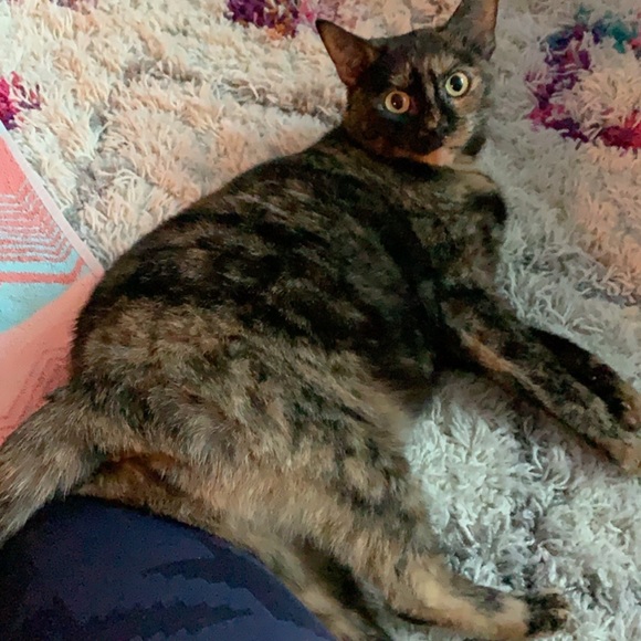 Ab me - Picture 7 of 8